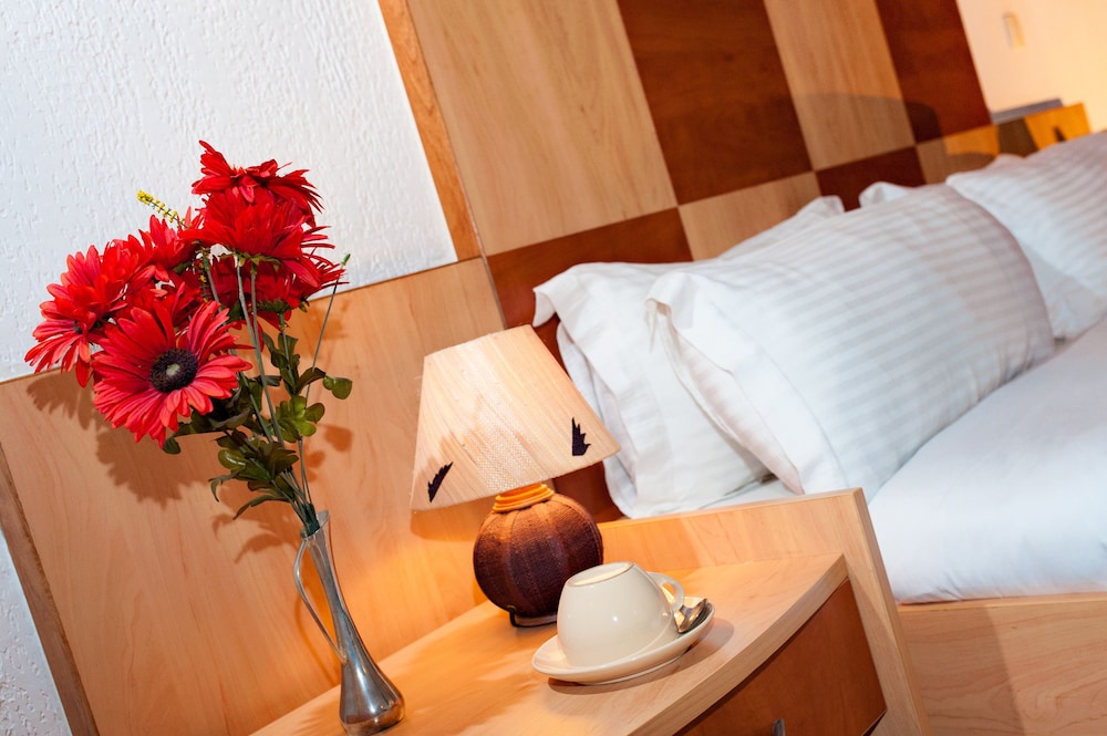 LE GRAND MELLIS HOTEL & SPA 31/62
