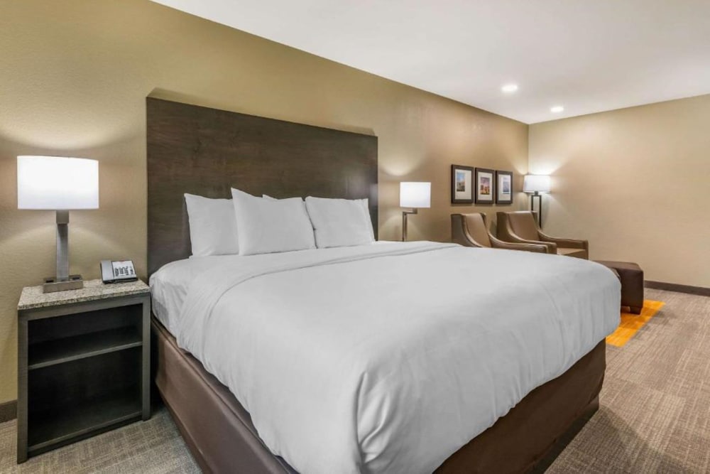 Standard, King Bed, Accessible, Coral Pointe Sarasota, an Ascend Collection Hotel 3/6