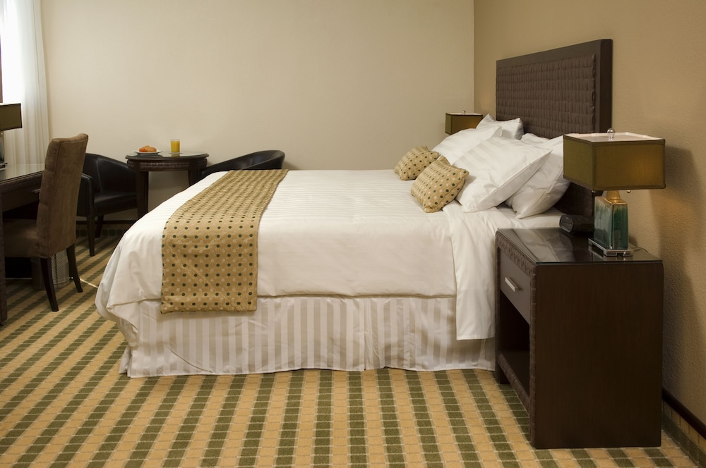 Rincon Del Valle Hotel Suites 15/74