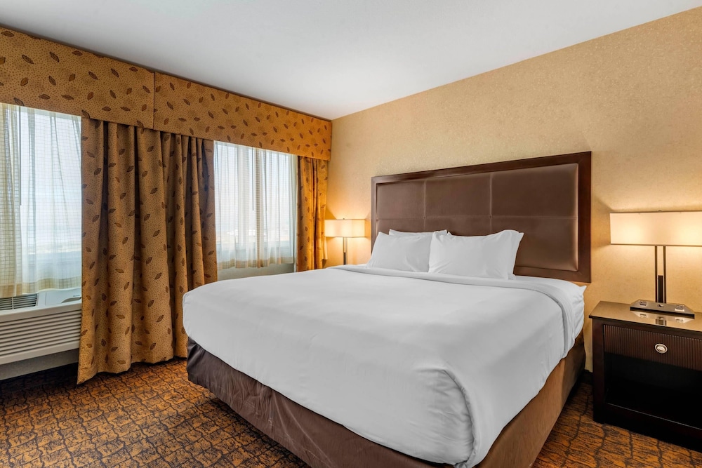 Efficiency, Suite, King Bed, Sofa