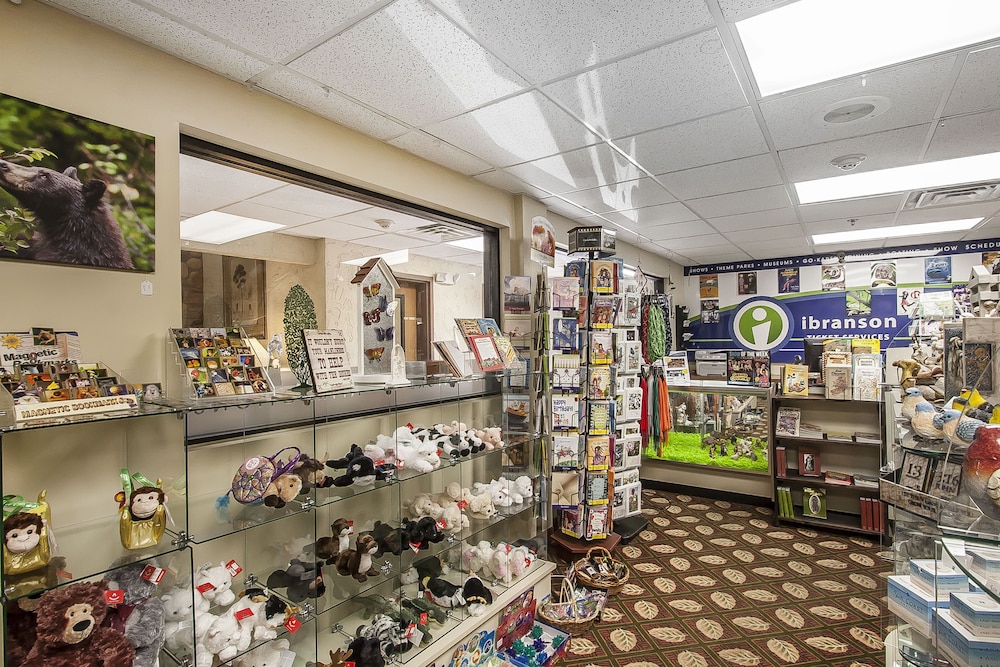 Comfort Inn and Suites Branson Meadows 24/44