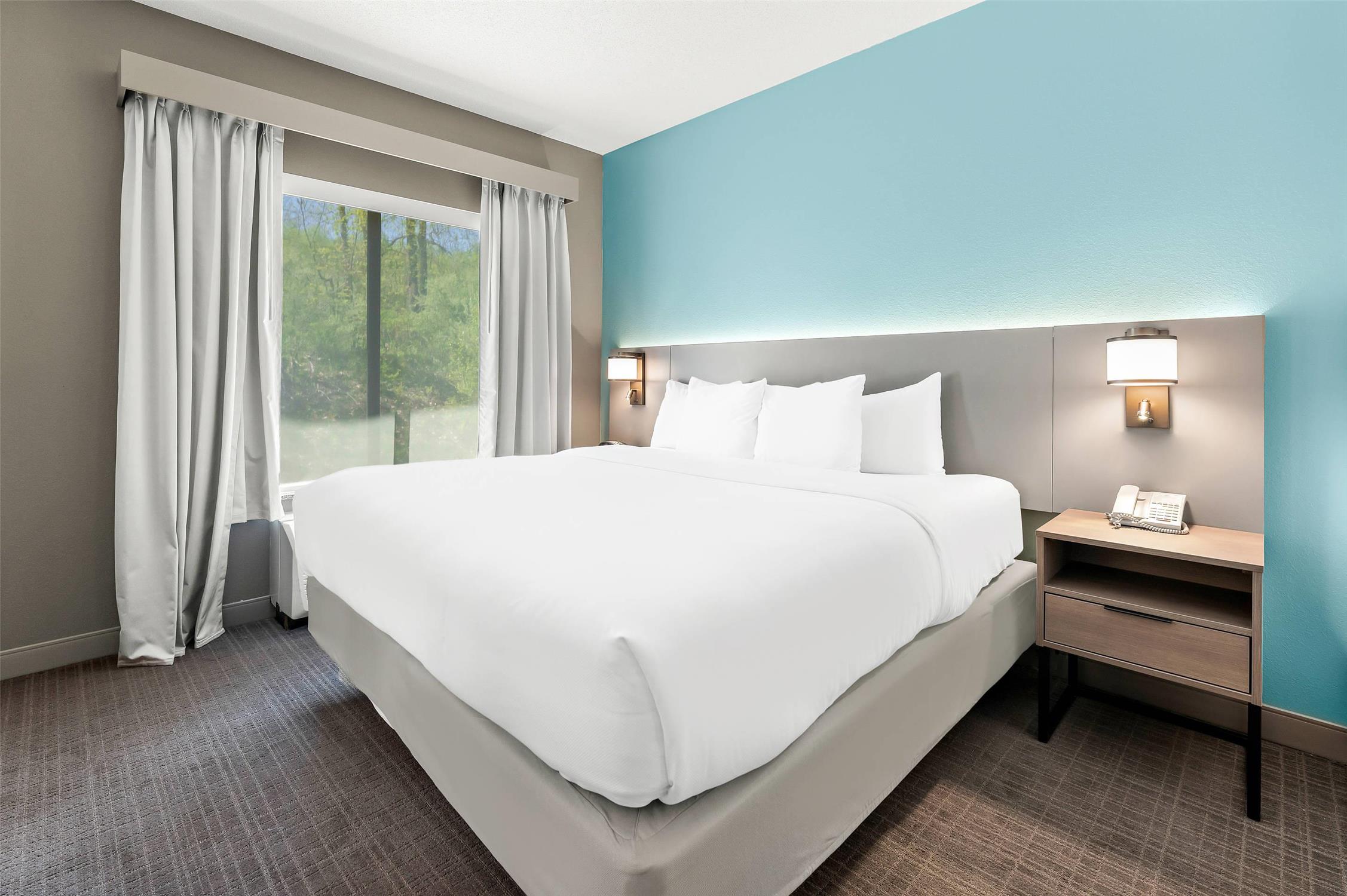 Efficiency, Suite, King Bed