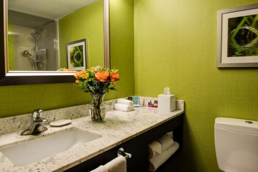 Crowne Plaza Kitchener Waterloo 58/74