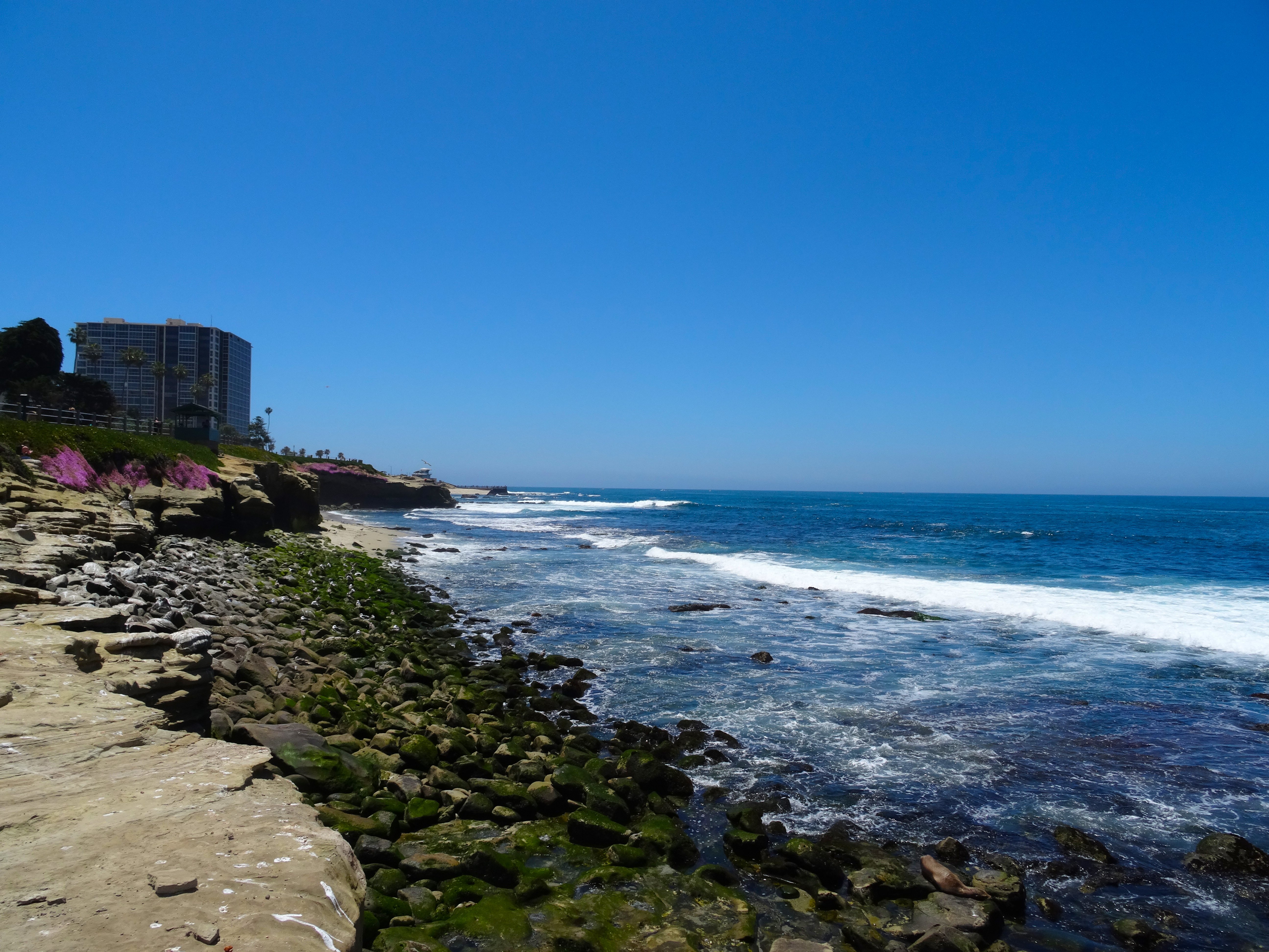 Crowne Plaza San Diego Mission Valley 40/50