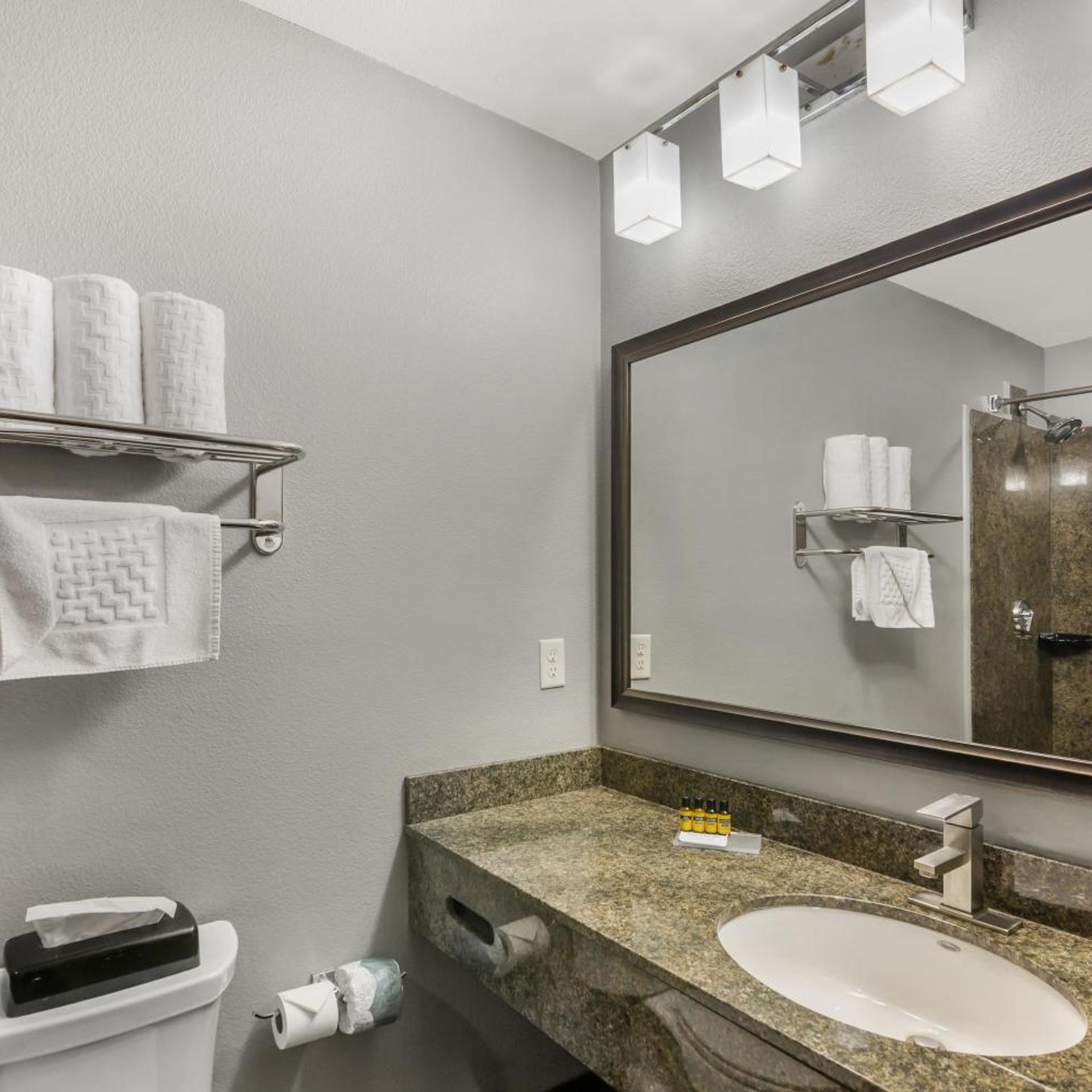 غرفة مفردة بسرير كينج مع أريكة، Best Western Plus Williston Hotel & Suites 5/5