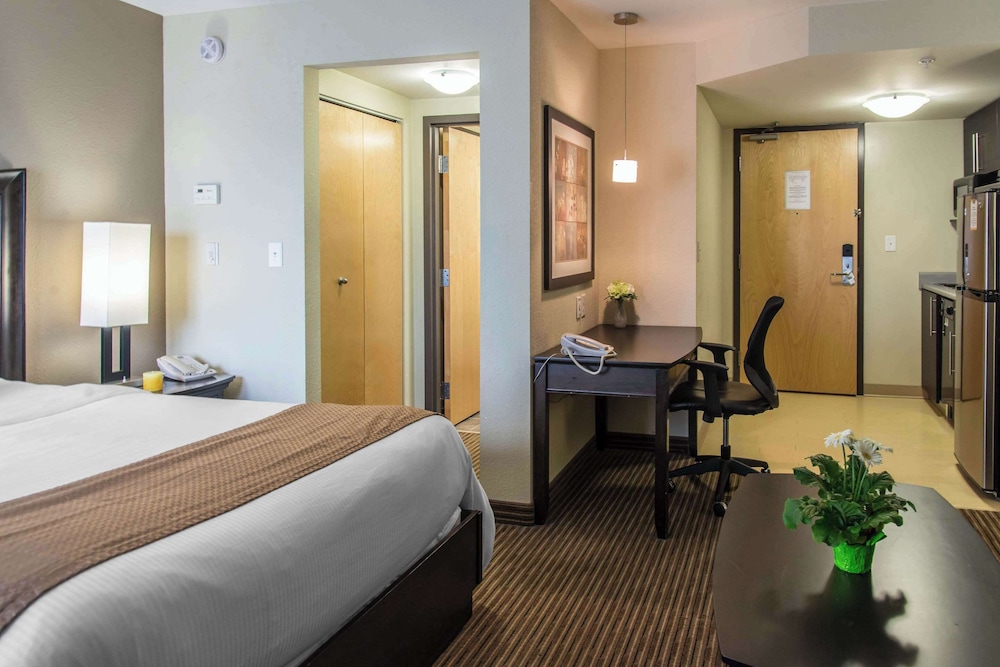 SUITE, QUEEN BED, SOFA