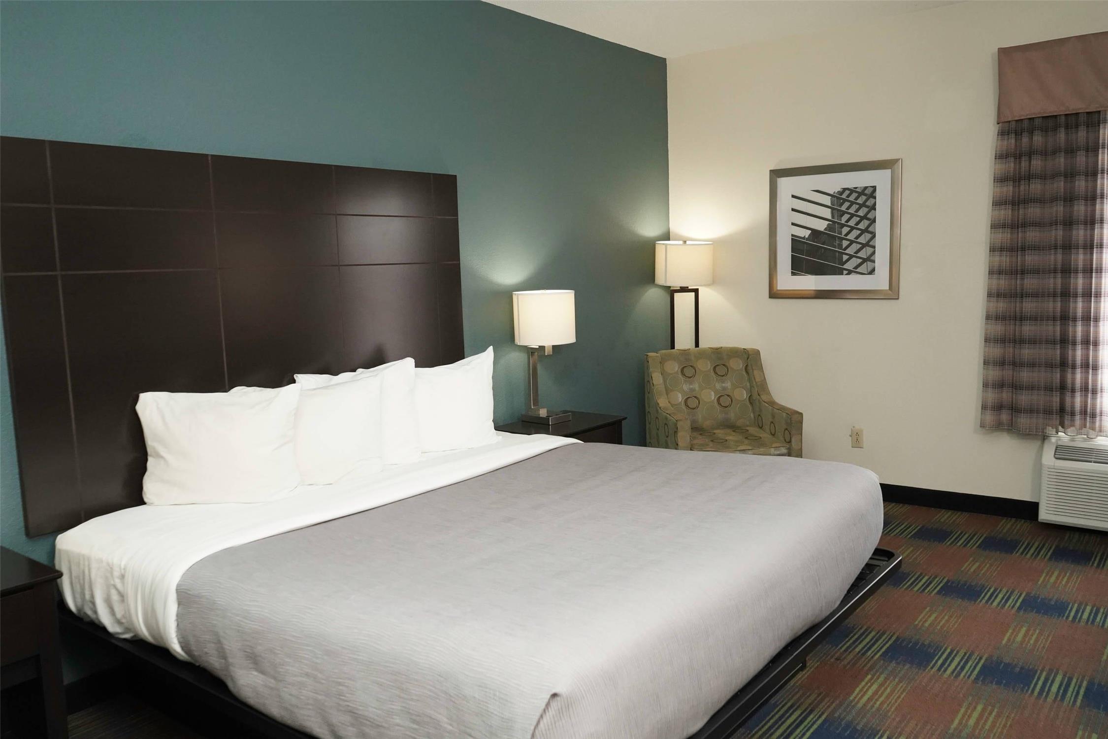 Room, King Bed