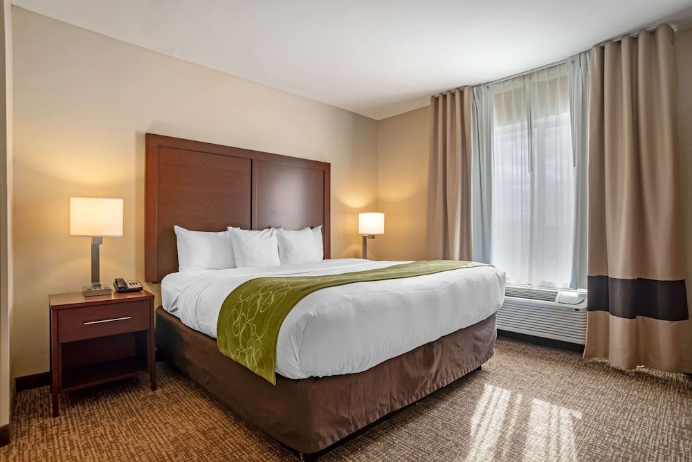 Comfort Suites Foley - North Gulf Shores 7/26