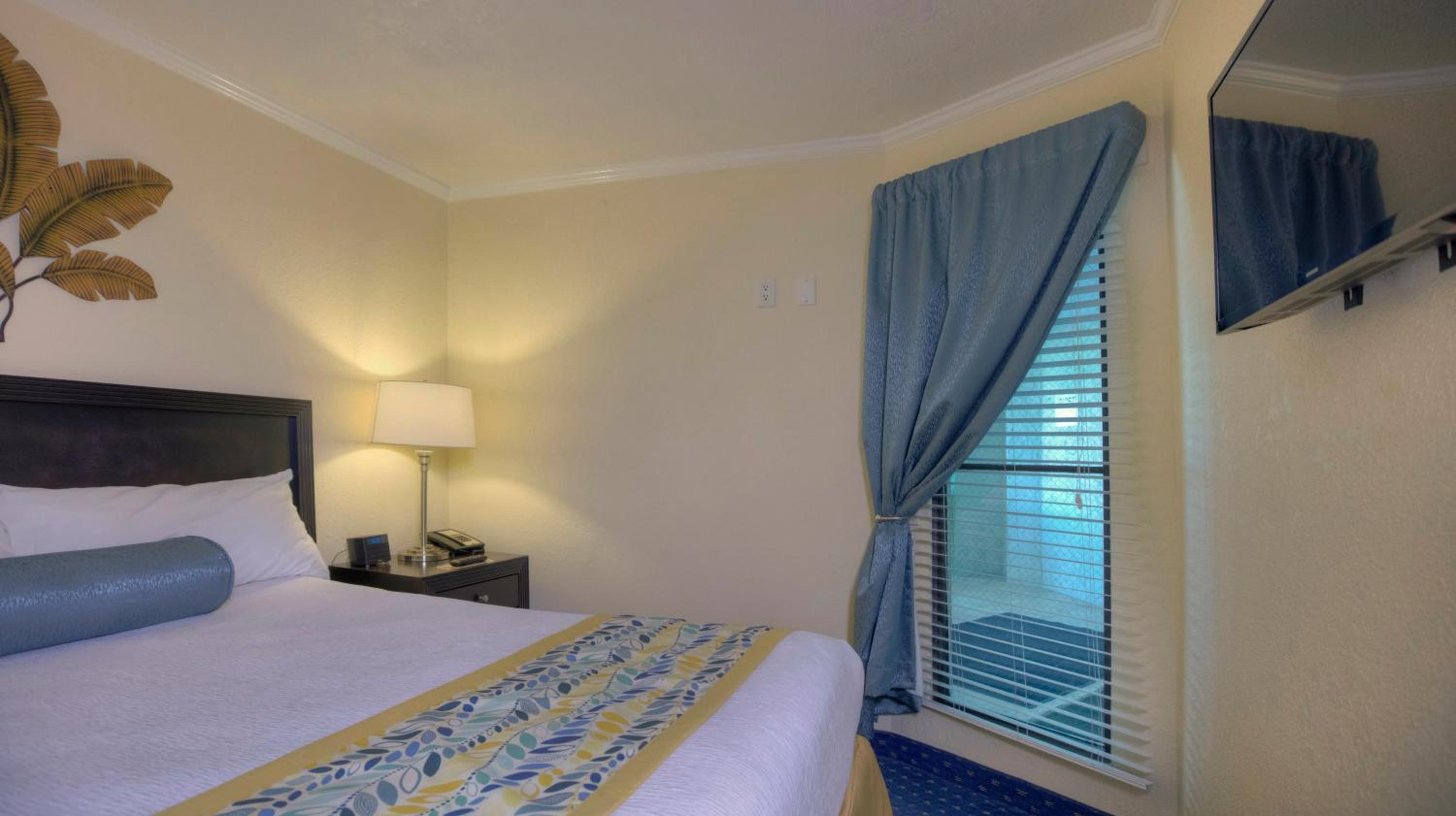 1 Bedroom, Suite, Conservation View