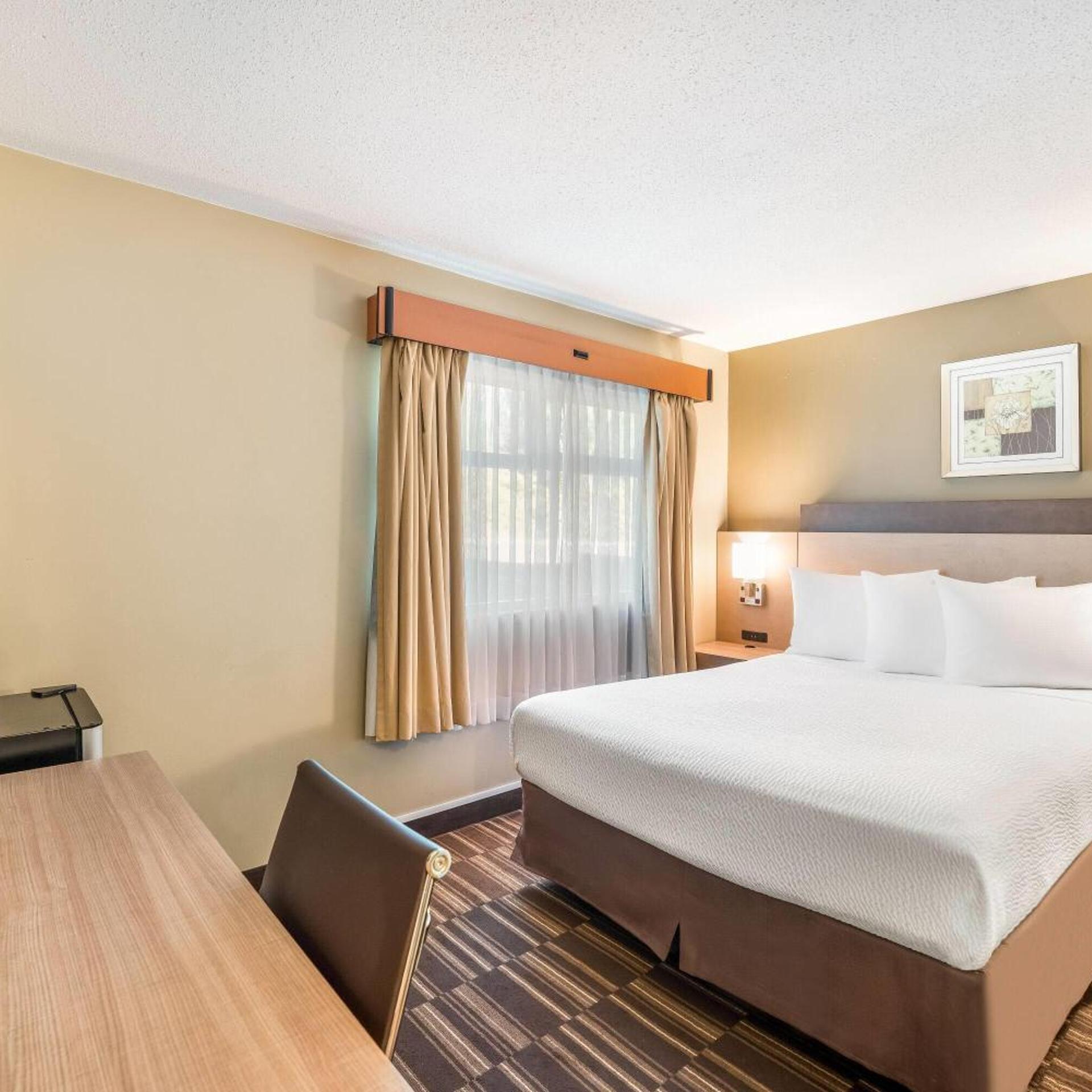 Room, Bunk Bed, Queen Bed, Pool Floor