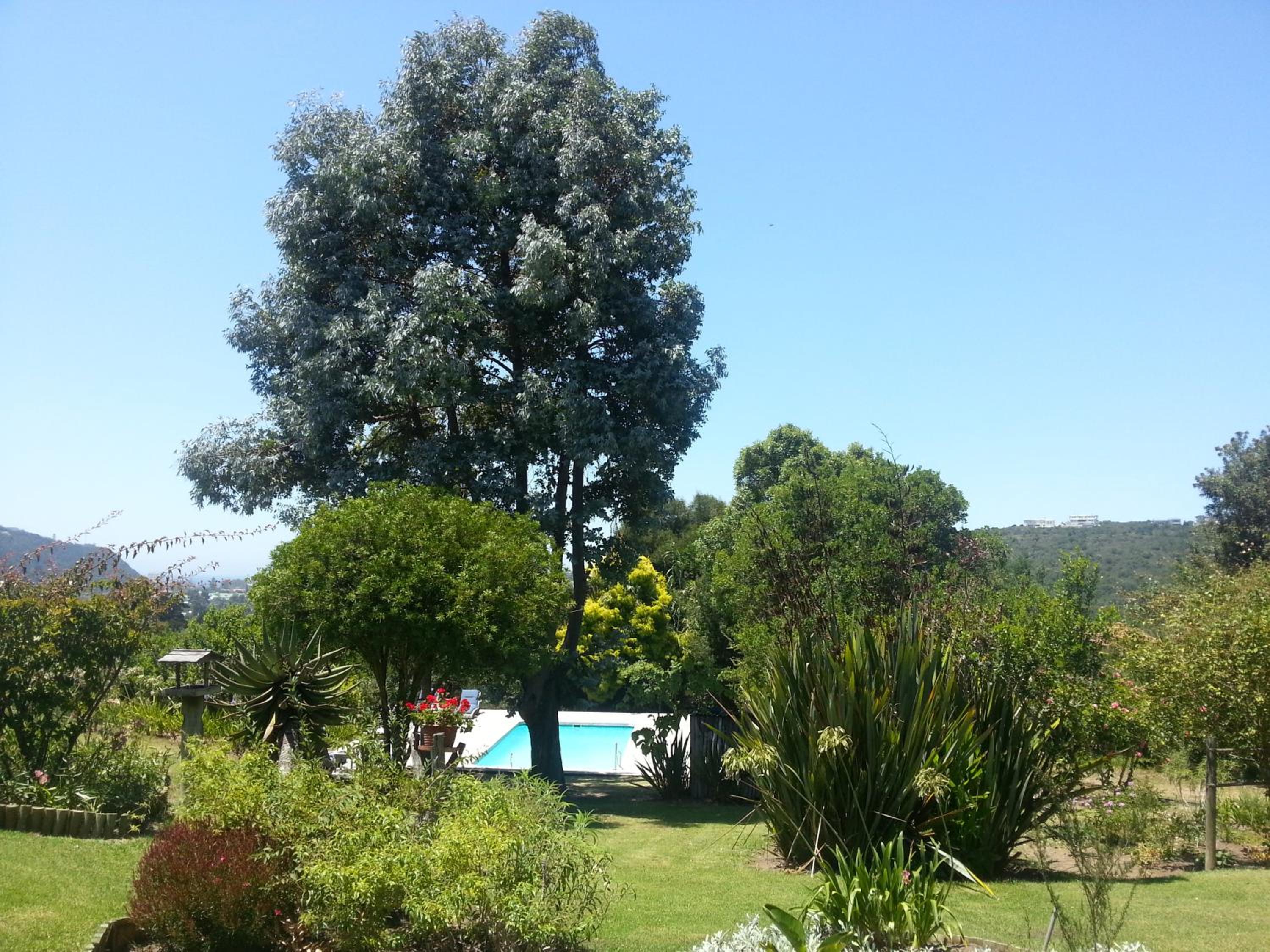 Piesang Valley Lodge 24/31