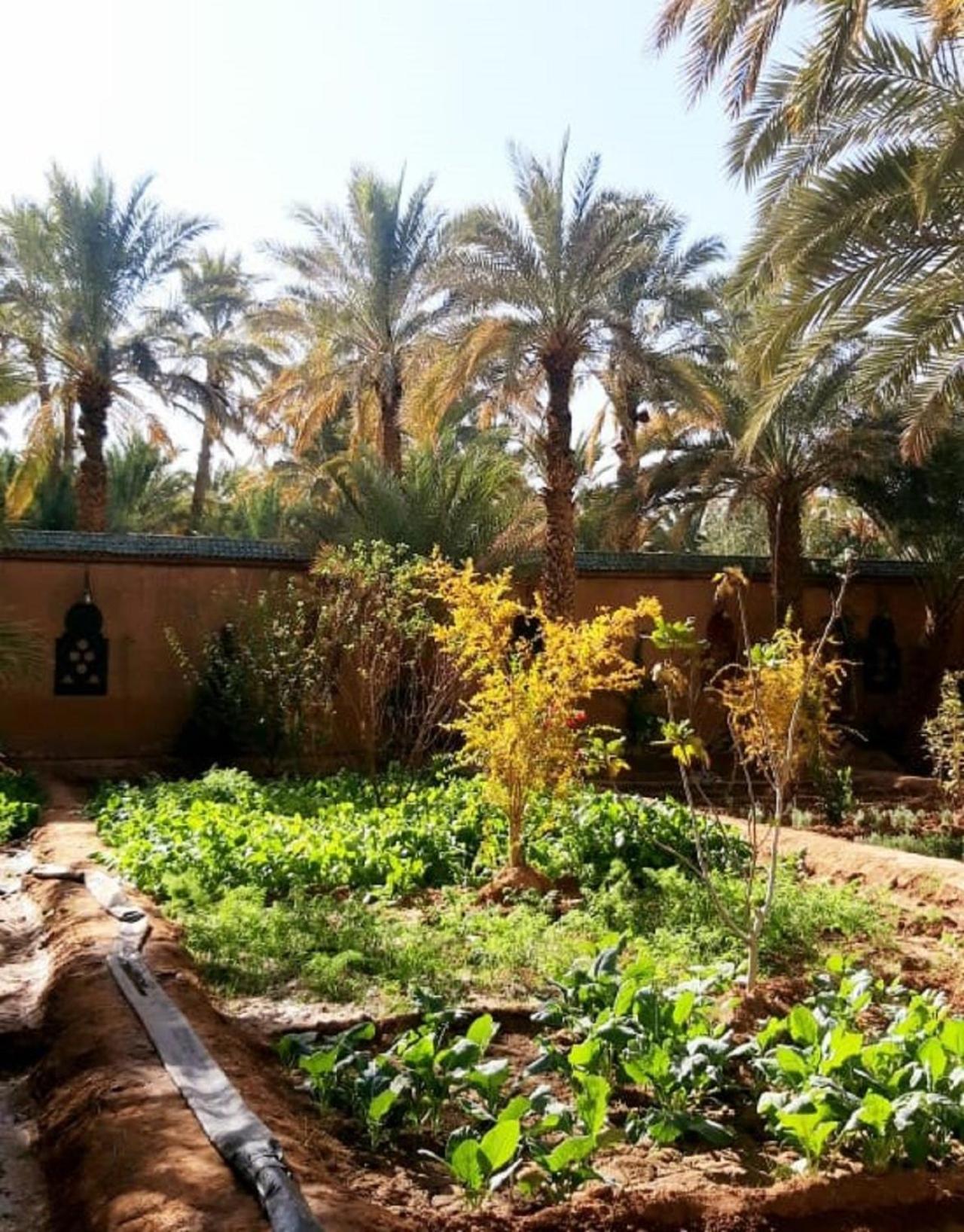 Riad Dar Soufiane 53/59