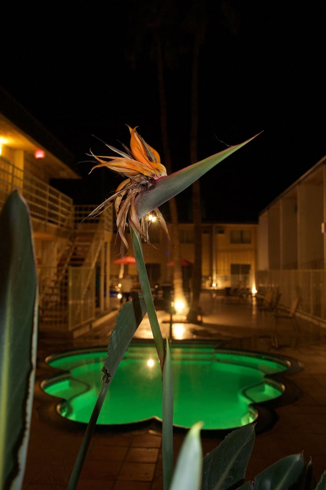 Delos Reyes Palm Springs 35/63