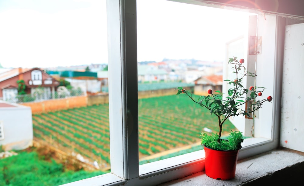 Hoai Huong Homestay 9/50