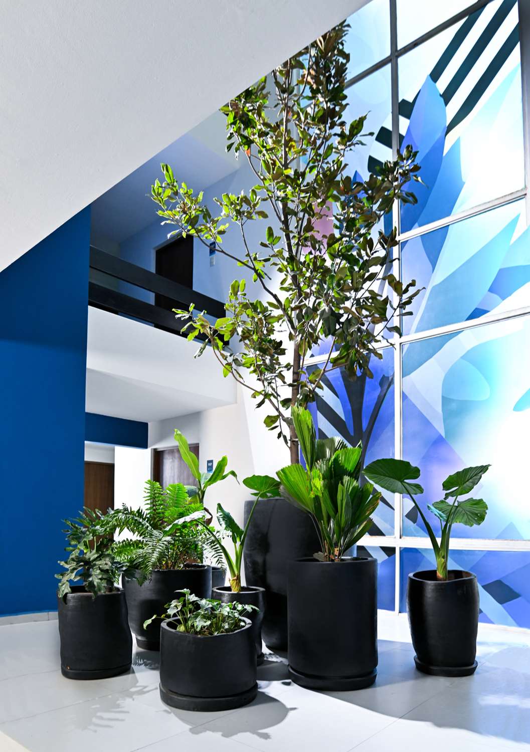 Vista Express Guadalajara Expo SureStay Collection by BW 27/35