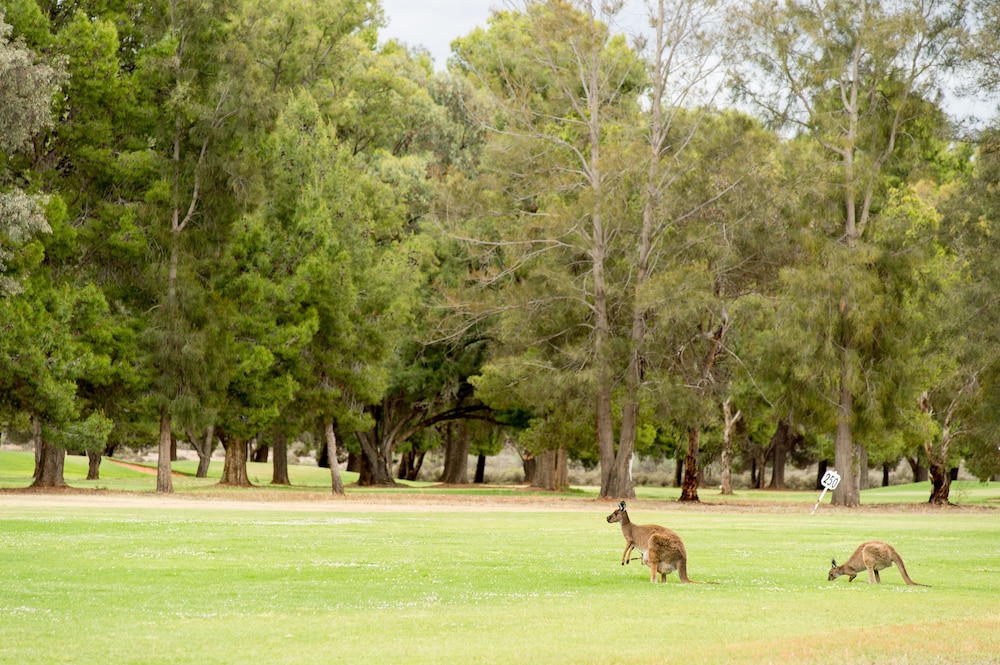 Renmark Country Club 41/48