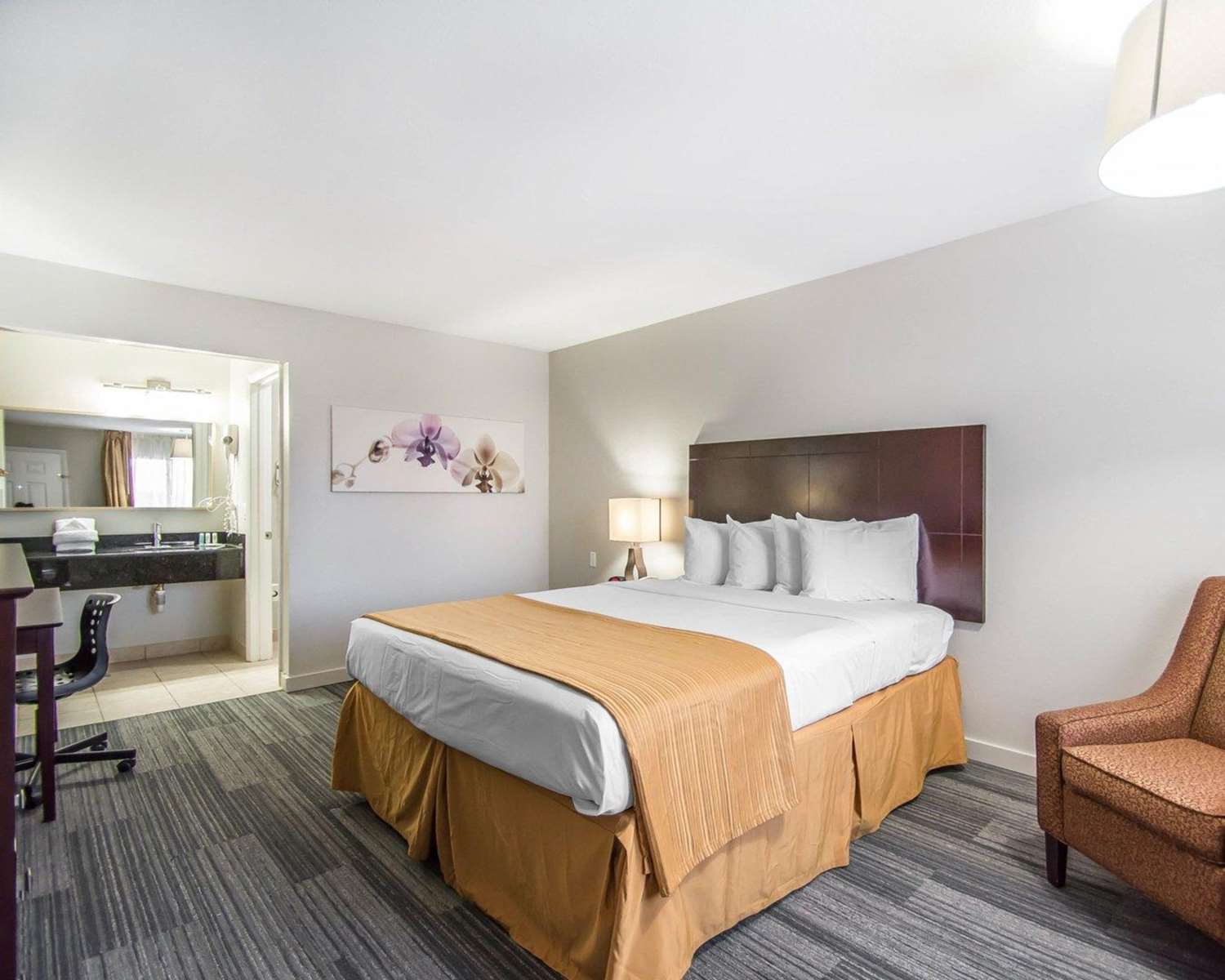 Quality Inn Suites By the Parks 10/30