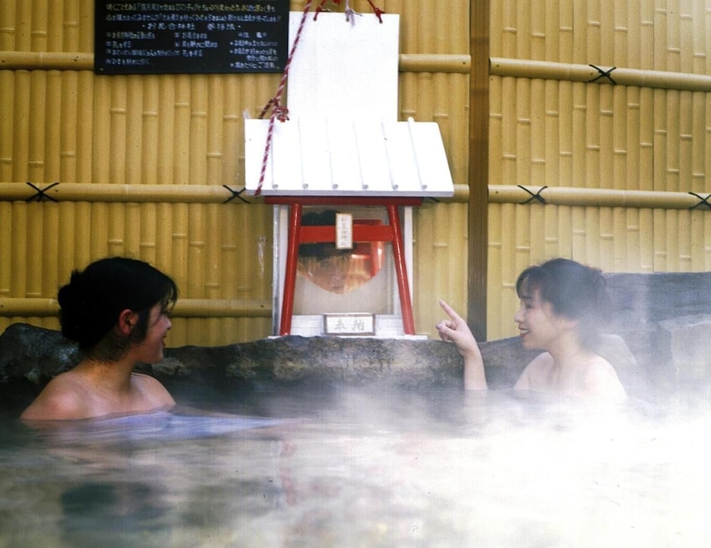 Nakaoyama Onsen Shosenkaku 16/50