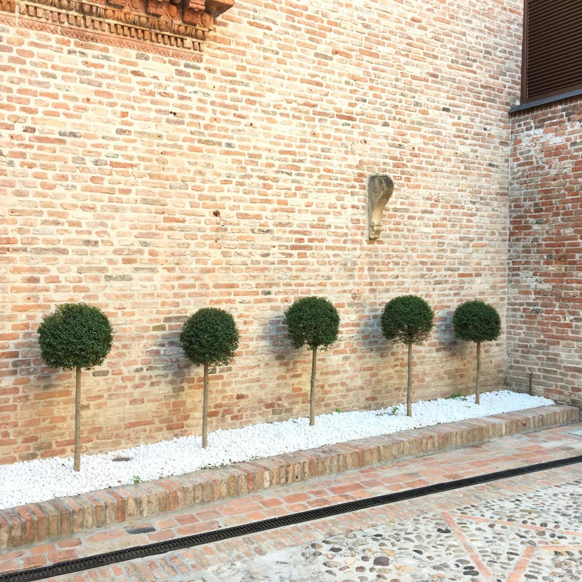 Ripagrande Hotel 24/51
