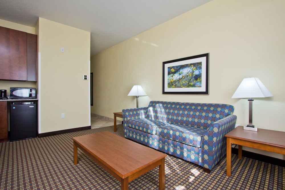 Holiday Inn Express Hotel Suites Denver East Peoria Street 41/59