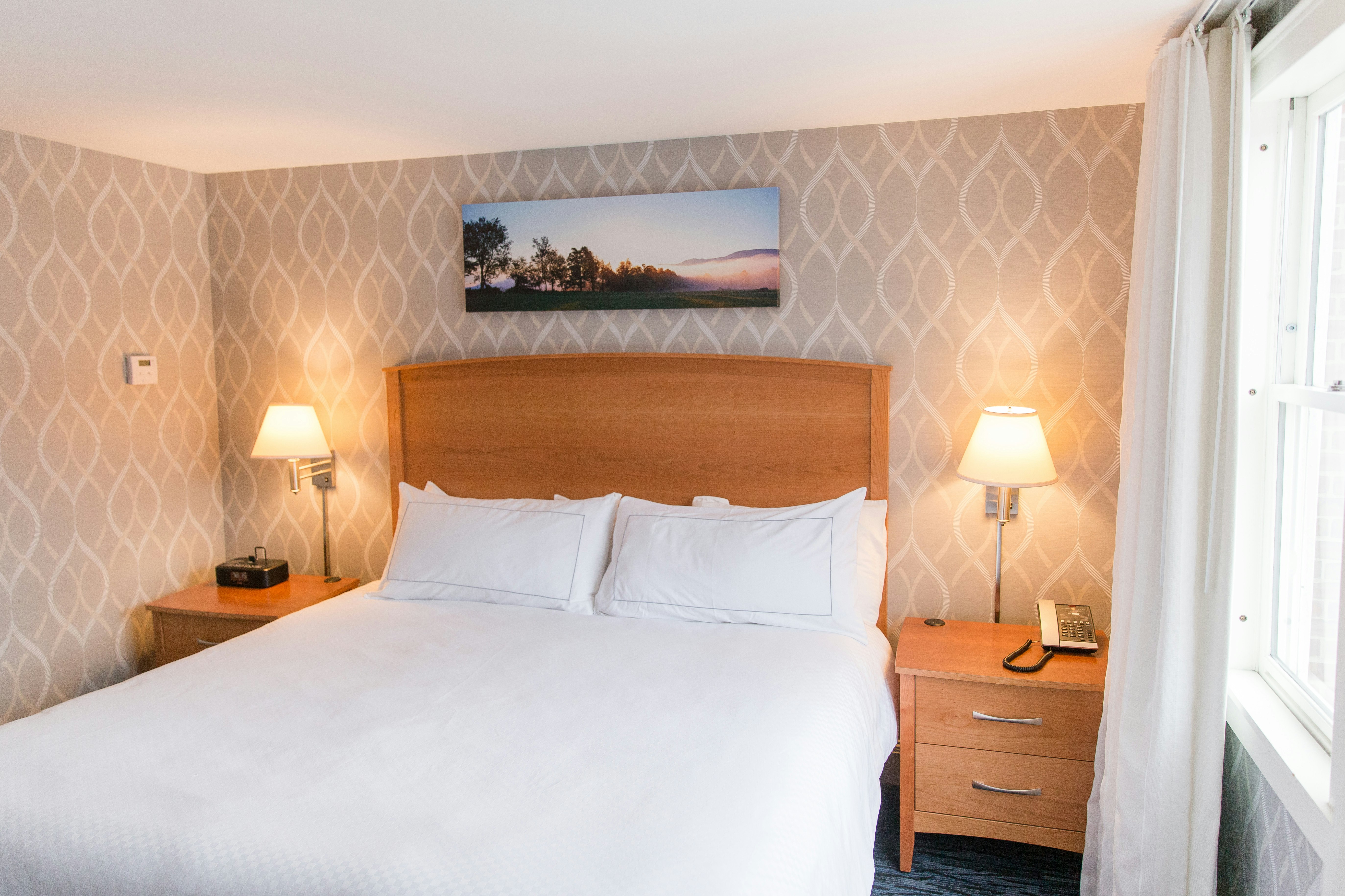 1 Bedroom, Suite, King Bed