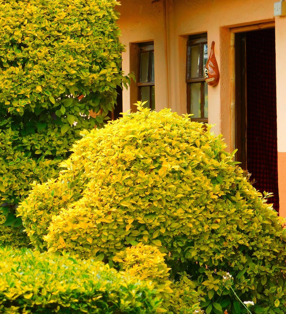Kivu Resort - Hostel 23/27
