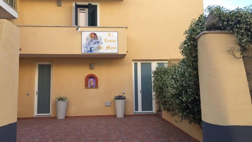 Il Leone Di Mare 7/50
