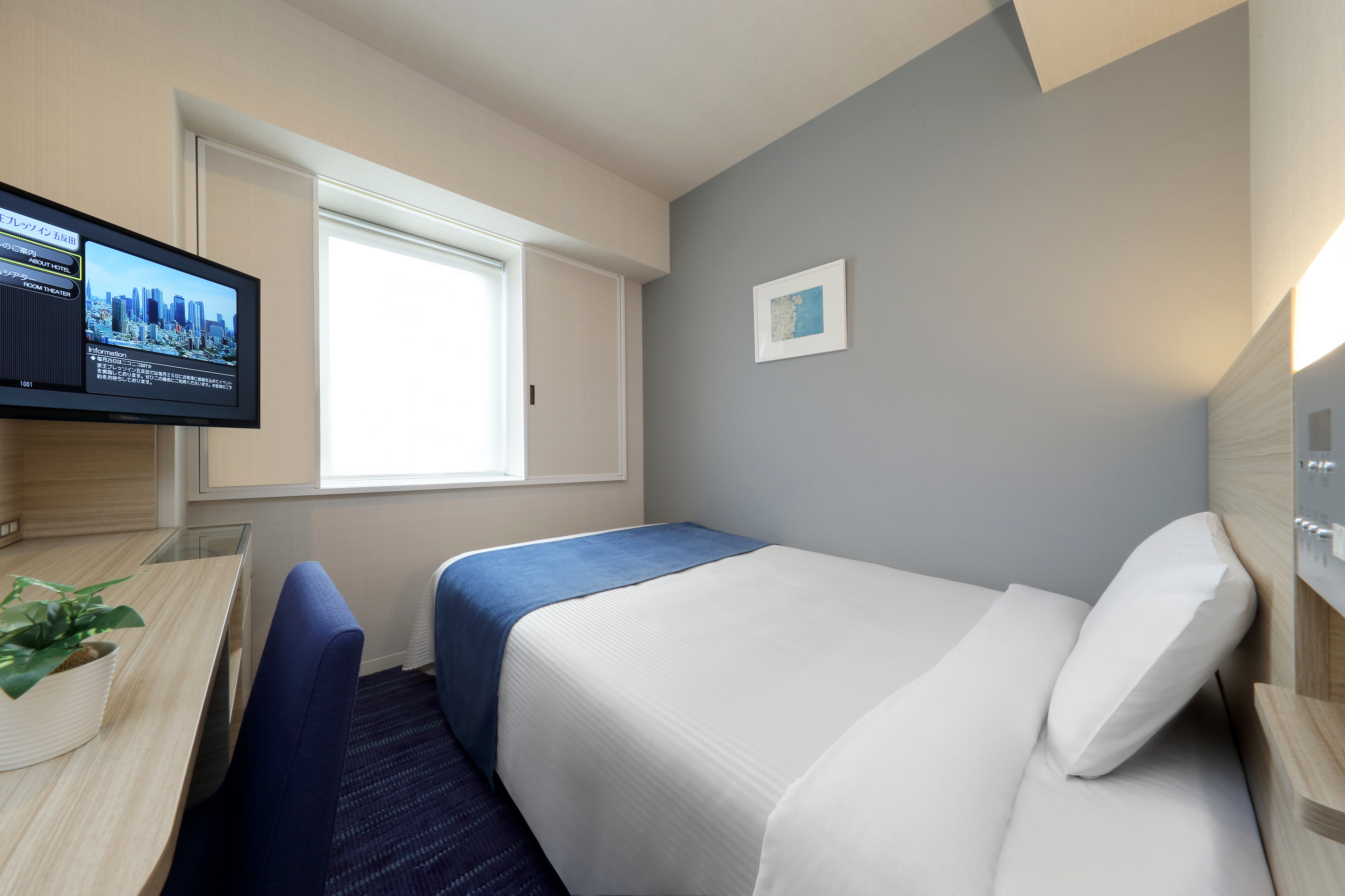 Room, Single, Semi Double Bed