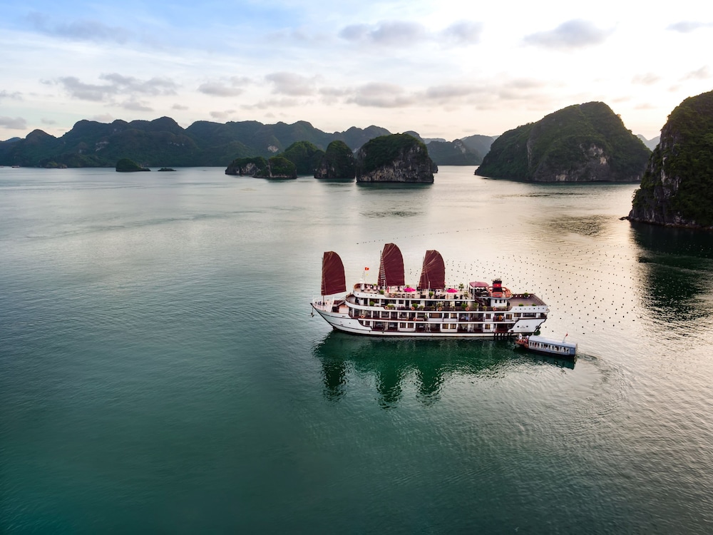 Alisa Premier Cruise 41/50