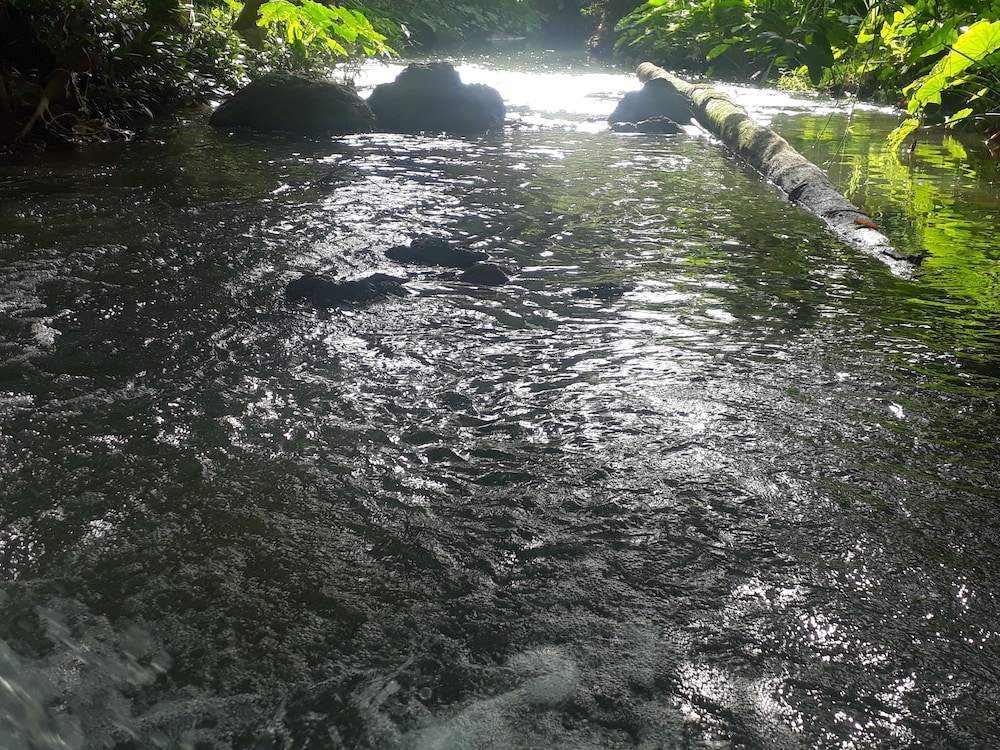 Ui Bai Valley 38/48