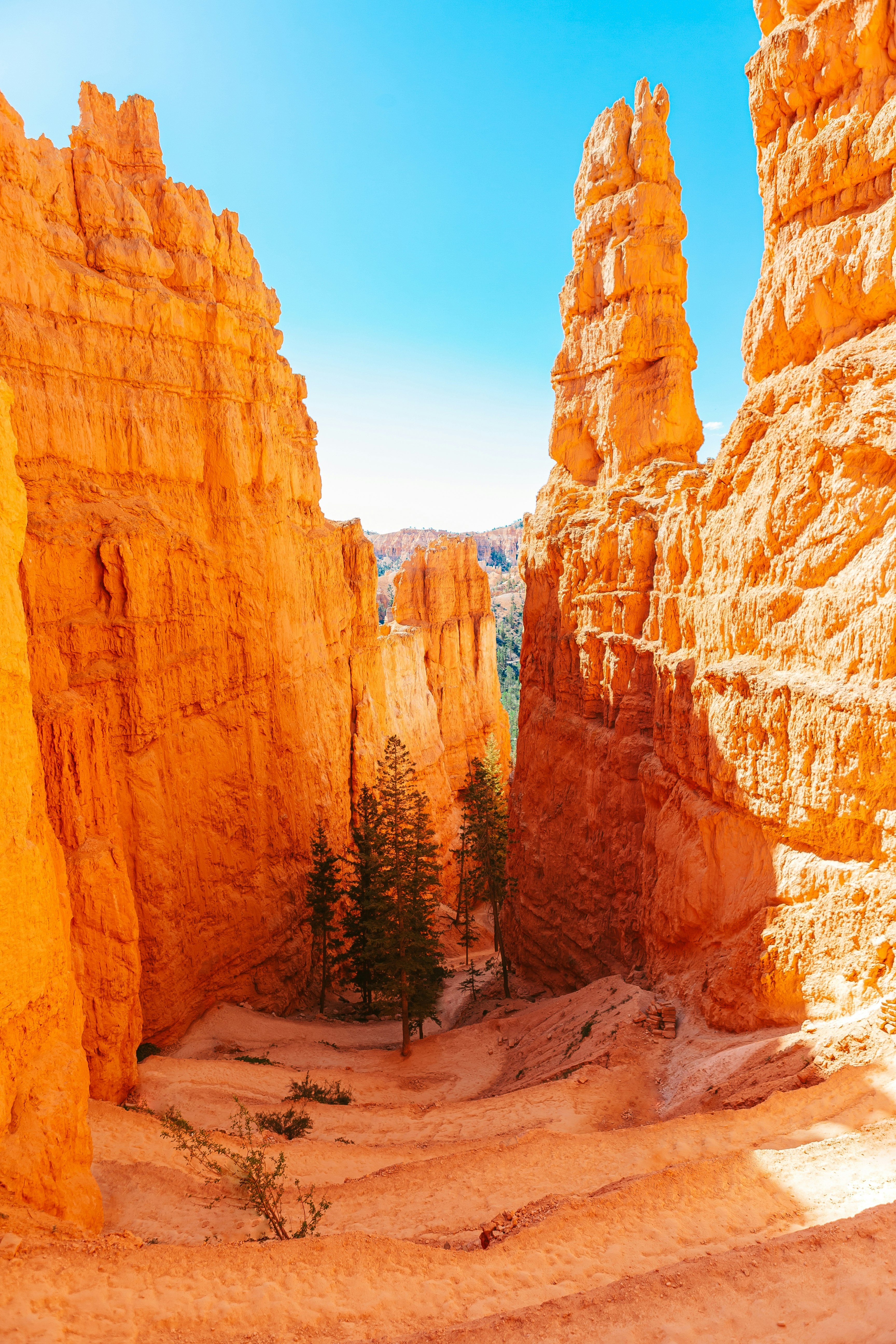 Under Canvas Bryce Canyon 31/39