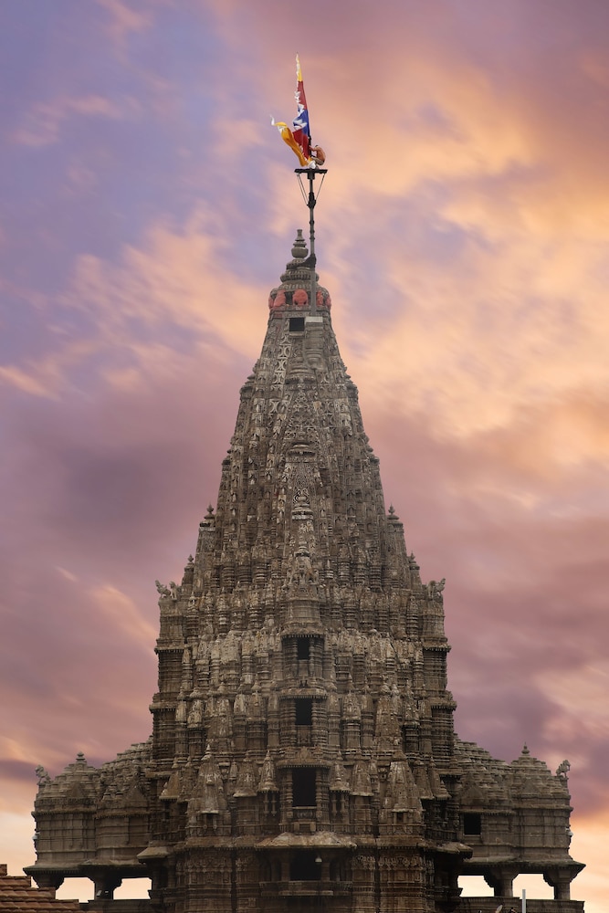 Ginger Dwarka 23/26