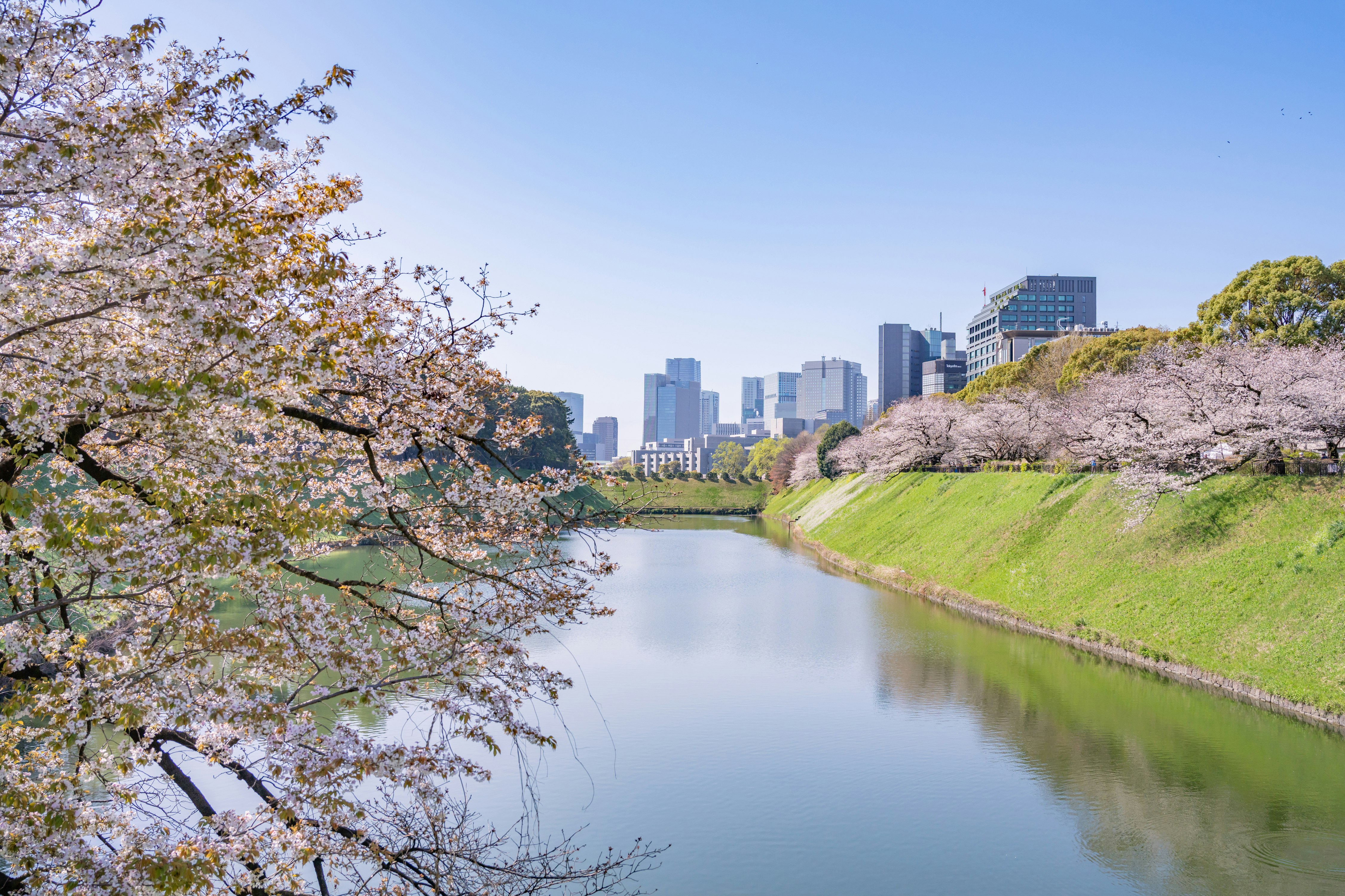 The Prince Gallery Tokyo Kioicho a Luxury Collection Hotel 73/79