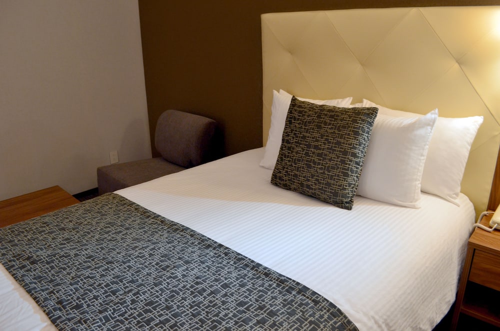 Hotel Casa Inn Business Irapuato 19/63