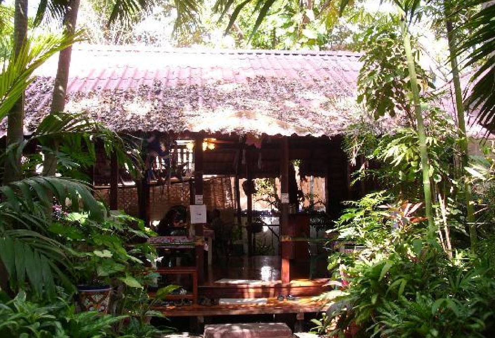 Eco Hotel El Rey del Caribe 1/50
