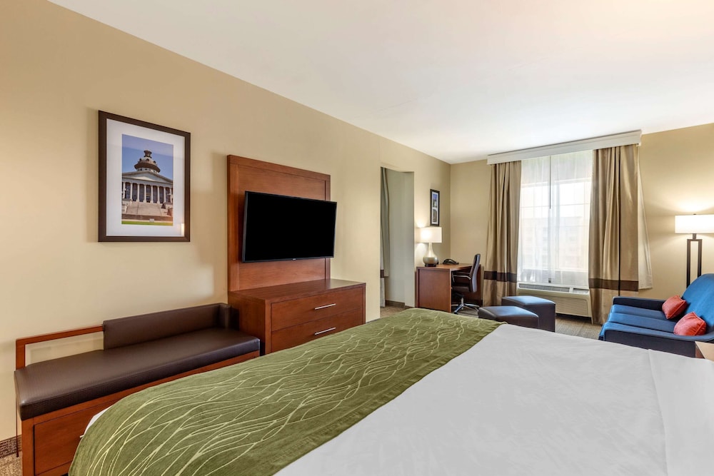 Comfort Inn & Suites Orangeburg 11/36