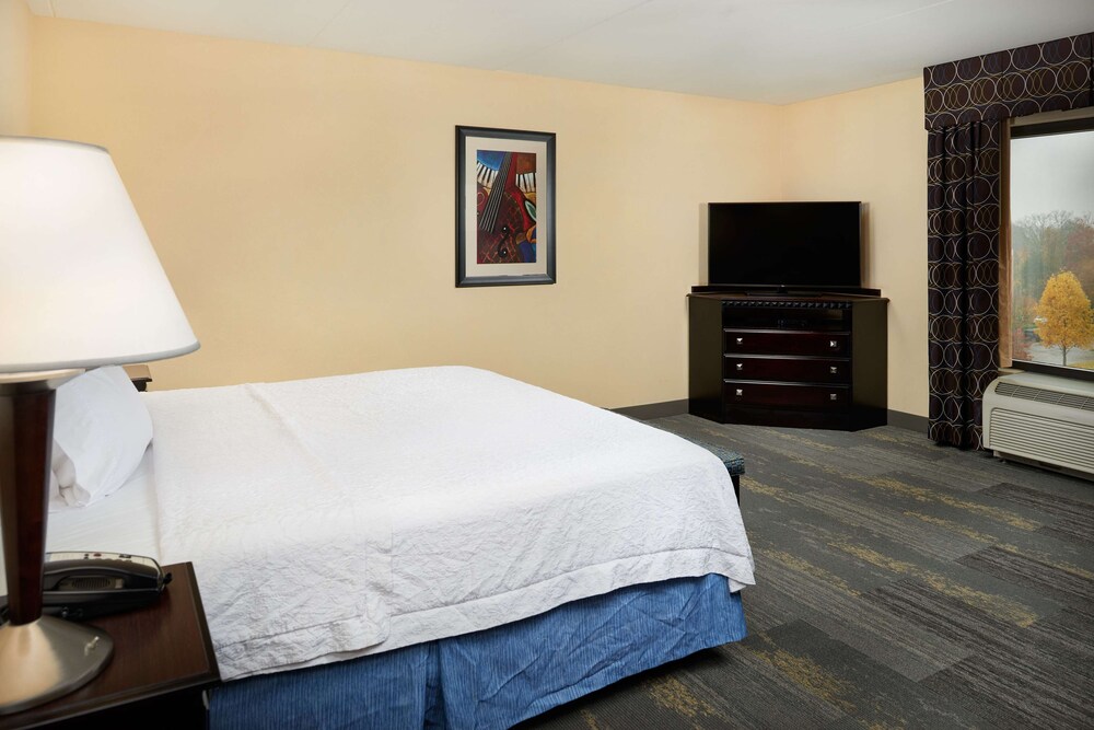 Hampton Inn & Suites Mt. Juliet 13/48