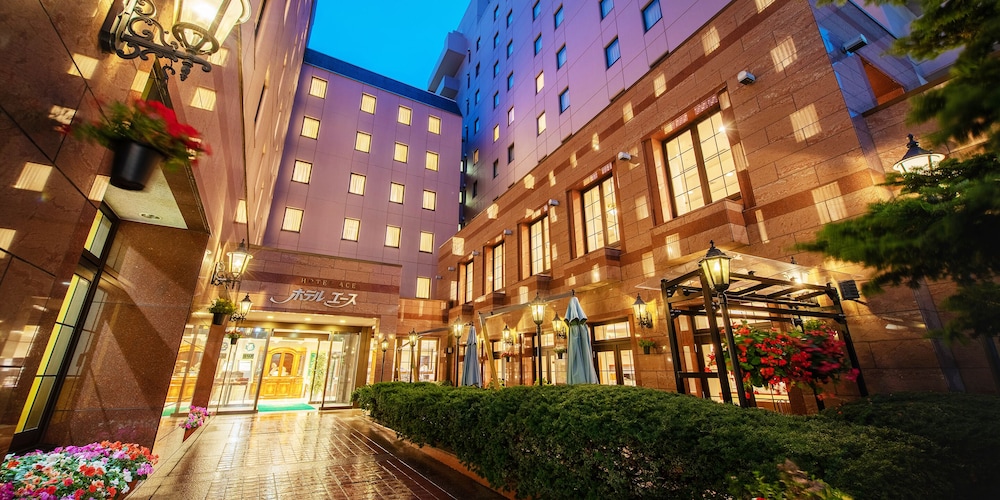 Hotel Ace Morioka 3/69