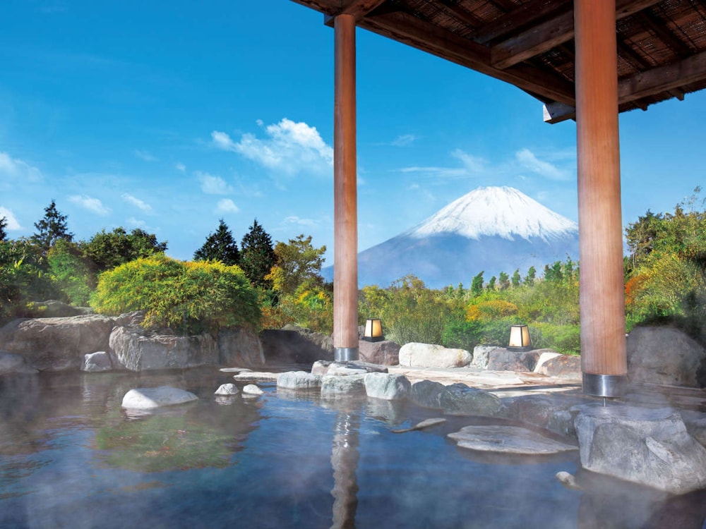 Hotel Green Plaza Hakone 27/50