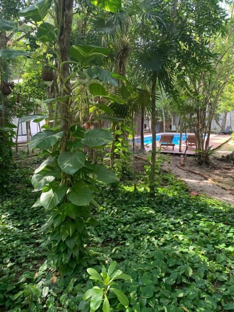 Collection O EcoVergel Hotel Boutique Spa in Tulum 64/72
