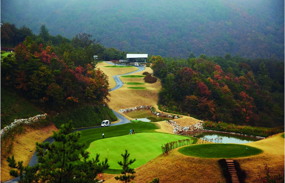 Tops 10 Resort Donggang Cistar 40/48