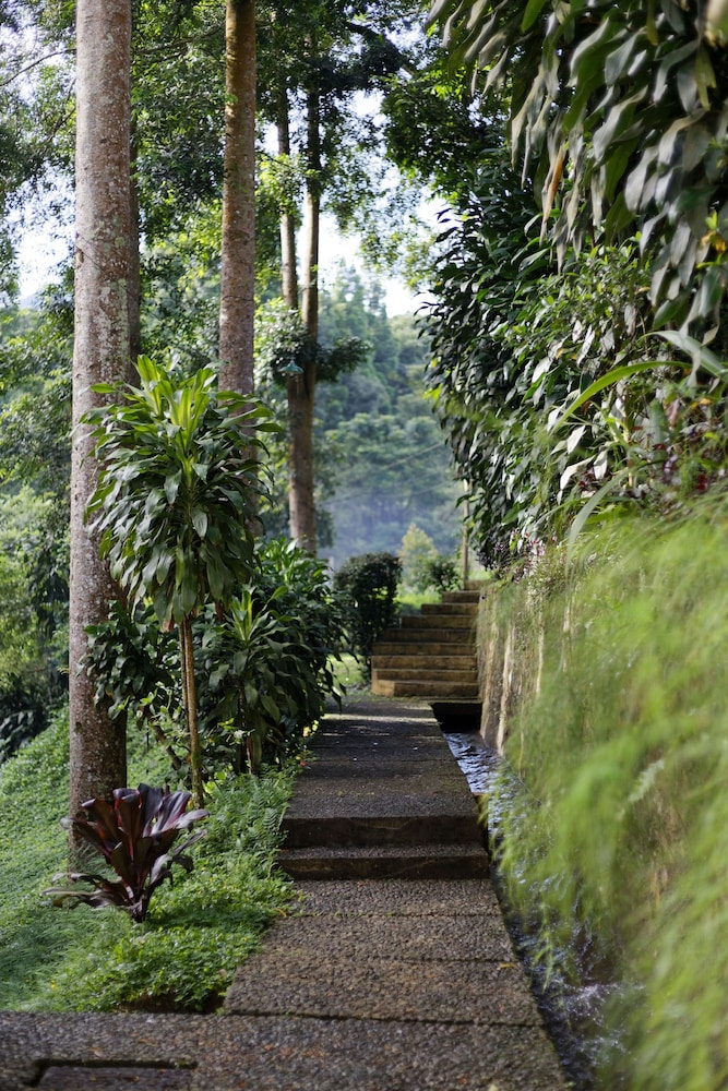 Plataran Puncak Villas 42/48