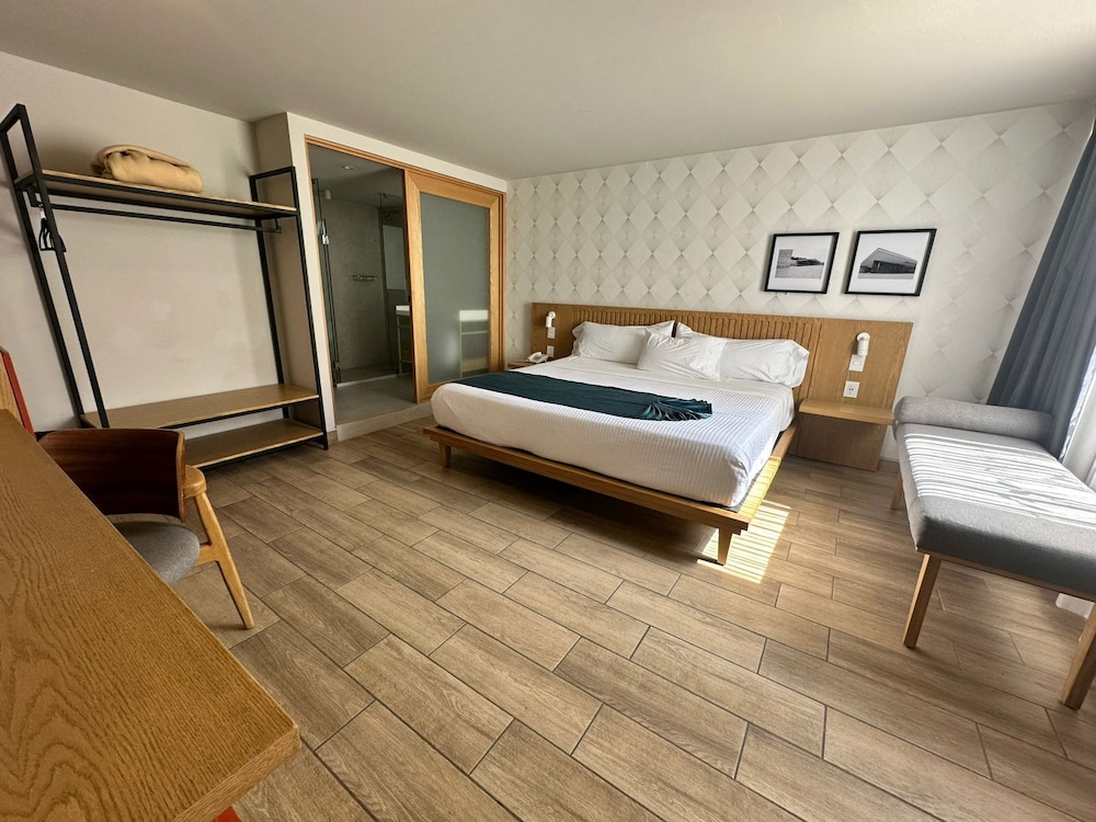 Oliva Plaza Hotel 20/50