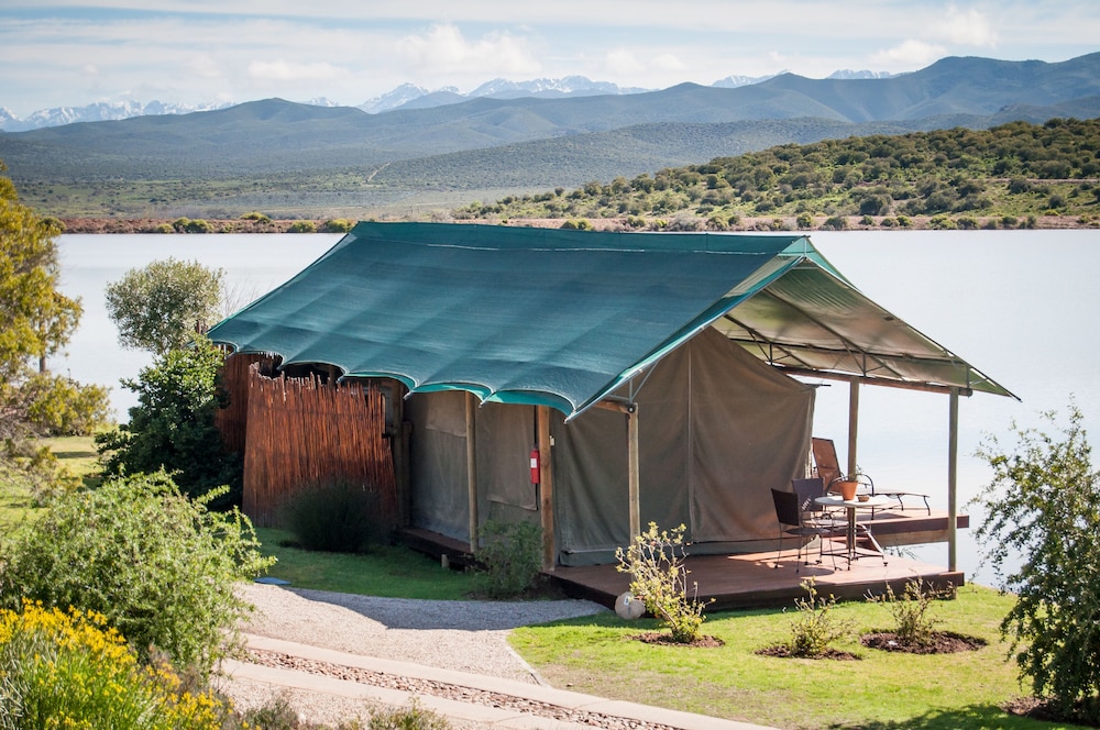 Buffelsdrift Game Lodge 6/73