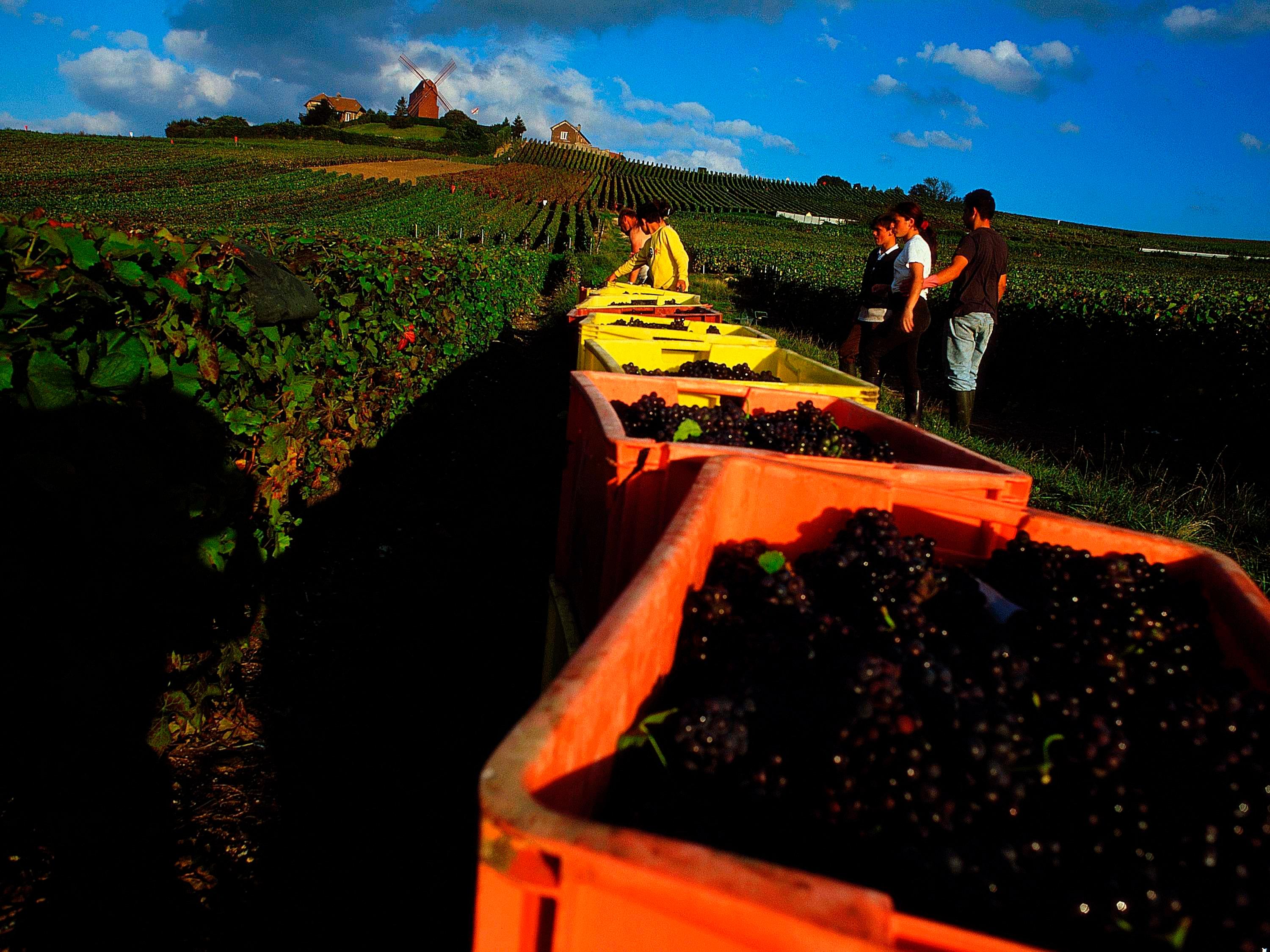 Ibis Budget Reims Thillois 45/50