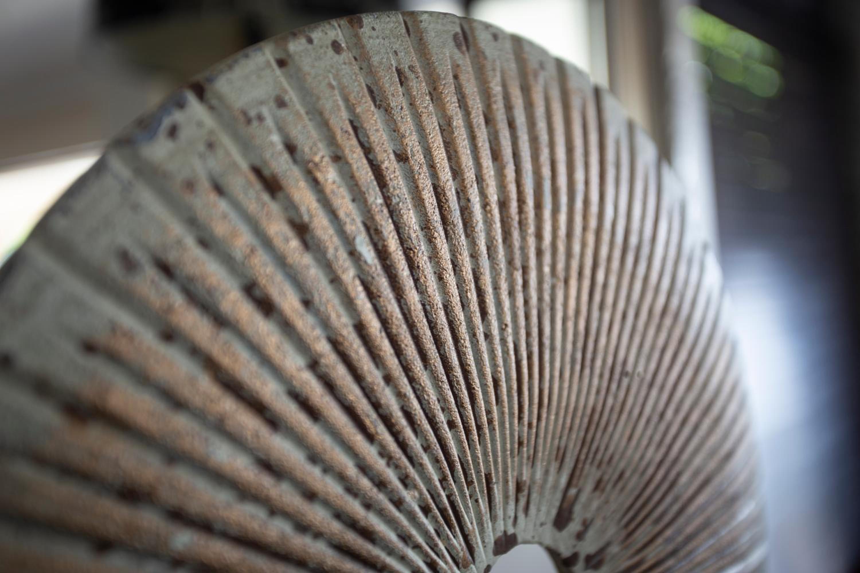 Buffalo Brooke 1/50