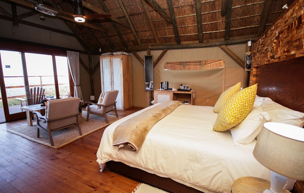 J-Bay Zebra Lodge 17/50