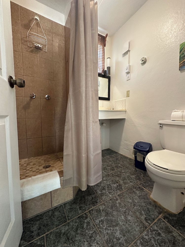 غرفة قياسية بسرير كوين بإطلالة على الفناء، All Seasons Guest House 8/8
