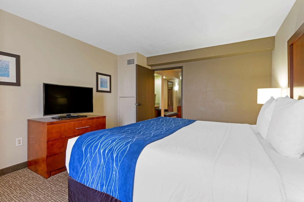 Comfort Suites Fredericksburg South 18/41