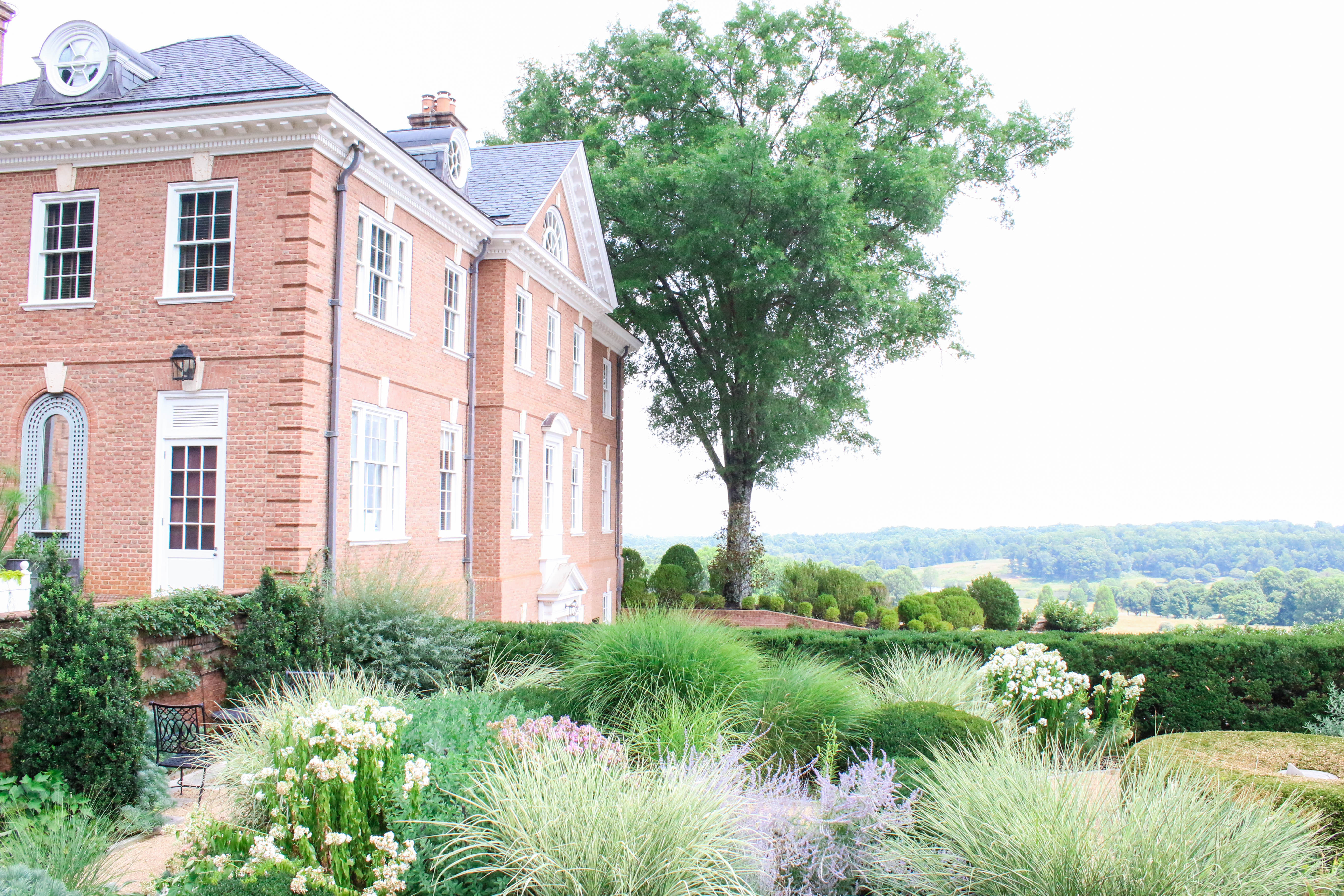 Albemarle Estate At Trump Winery 4/89